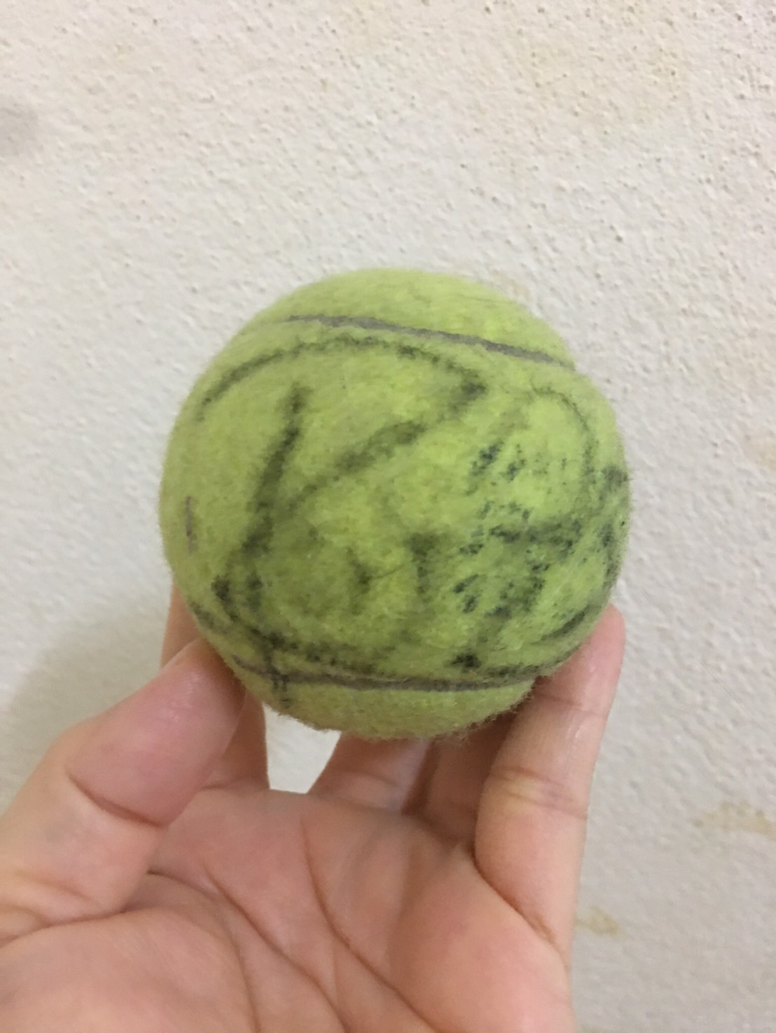 การดูแลความปลอดภัยระดับ VVIP สำหรับ โรเจอร์ เฟเดอเรอร์ ที่เกาะสมุย